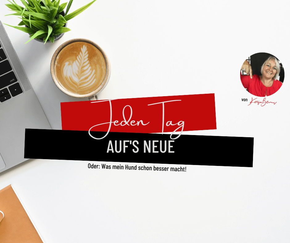 Jeden Tag auf's Neue,